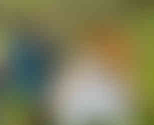 Credit: Karin Schreiber