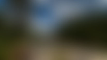 Wild Loon Adventure Company: Paddelabenteuer mit indigenem Bezug in Manitobas Wildnis