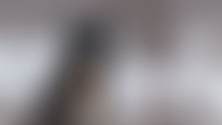 Neue Wildlife Safari an der Hudson Bay: Mit Churchill Wild zu den wilden Wölfen der Kaska Coast