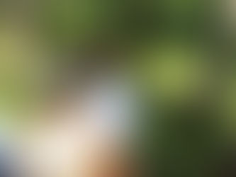 Wandern abseits der ausgetretenen Pfade in Manitoba