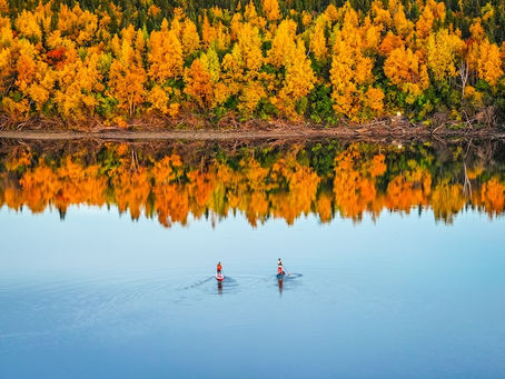 Two paddle boarders in the silent waters in the Western Arctic with the fall foliage of the trees on shore reflecting in the water