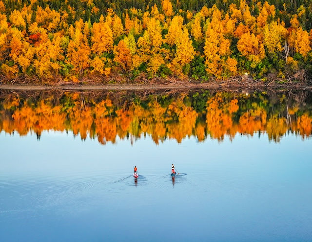 Two paddle boarders in the silent waters in the Western Arctic with the fall foliage of the trees on shore reflecting in the water