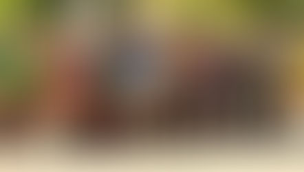 Auf den Spuren der Wikinger in Manitoba