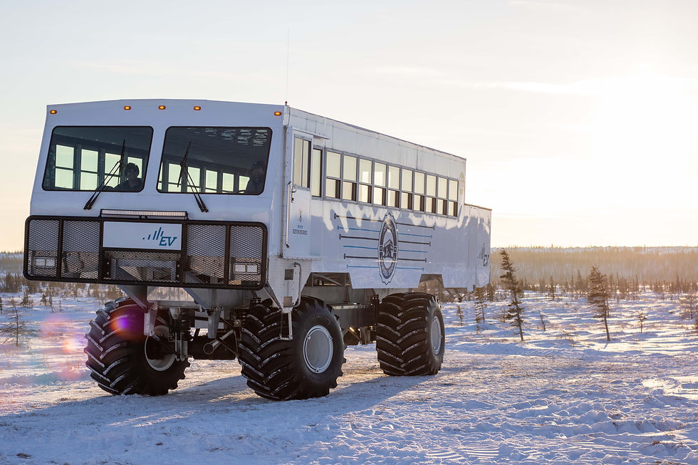 E-Tundra Buggy von Frontiers North Adventures - Credit: Alex Cupeiro