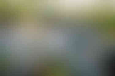 Credit: Mike Green via Tourism Winnipeg