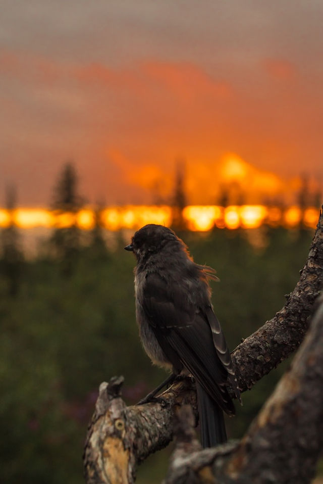 Foto: Travel Manitoba