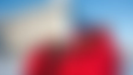 Churchill Northern Studies Center: Eisbären- und Beluga-Beobachtung auf andere Art