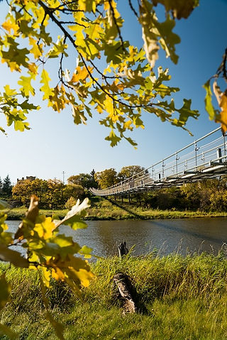 Souris Swinging Bridge - Credit: Travel Manitoba