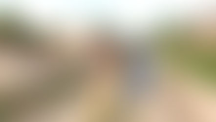 Streifzug durch das indigene Winnipeg