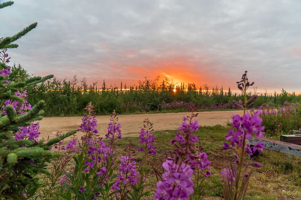 Churchill im Sommer - Credit: Travel Manitoba