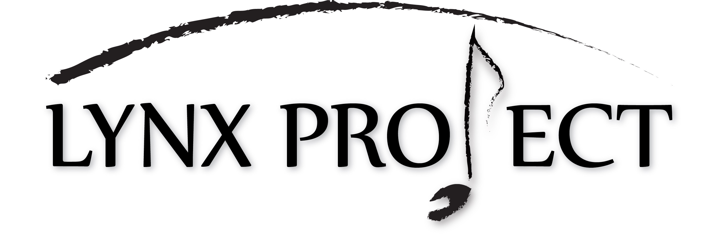 Lynx Project