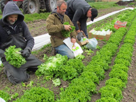 Compostable packaging Back in the Field