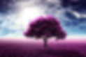 Purple Tree in a Meadow.jpg