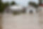 House in floodwater. Traditional timber country home with water up the windows. Ideal fo