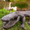 Thumbnail: Alligator Sculpture