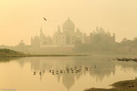 _SB_8789-Final-com grain.jpg