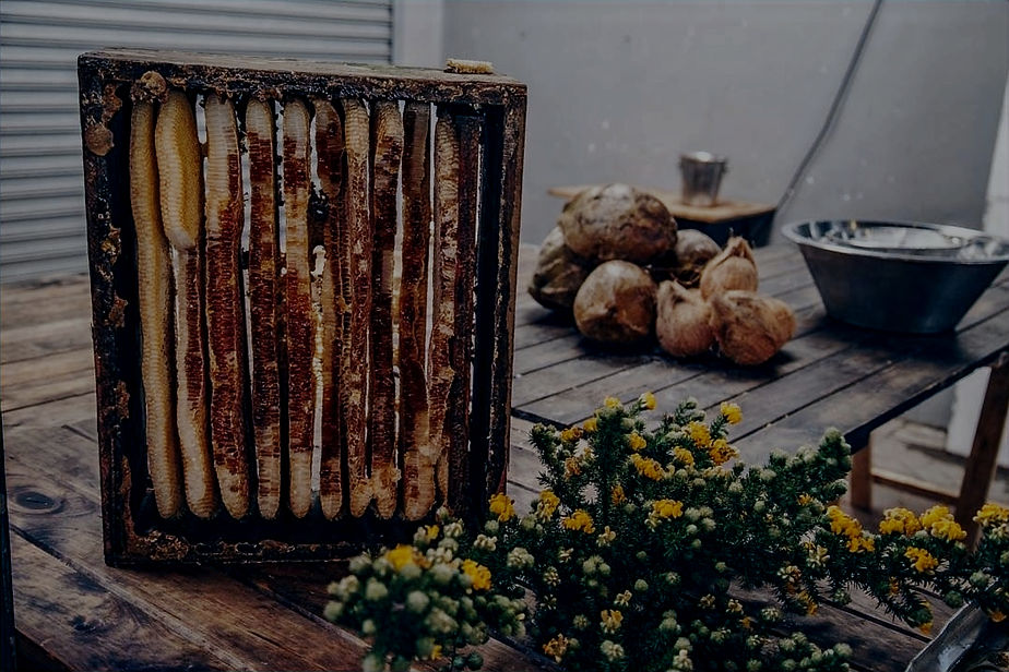 Honey Frames in Super_edited_edited.jpg