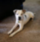 George_edited