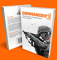 Book Cover (Orange).jpg