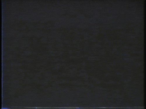 giphy-5.gif