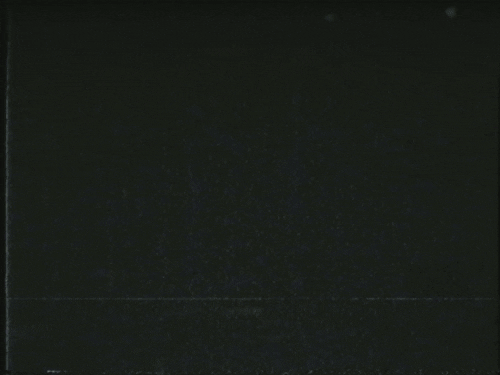 try.gif