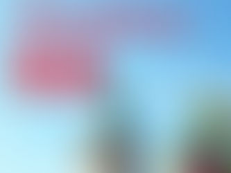 The First Amendment in Upholding Democracy in America