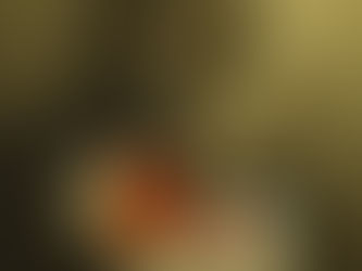 From Tea Tax to Overreach: A Deep Dive into the American Taxation Struggle