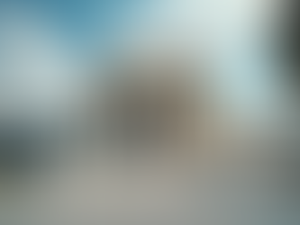 The Hidden Influence of Wealth in Presidential Pardons and Clemency Decisions