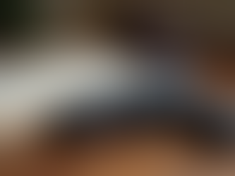 Understanding the Second Amendment and Your Right to Self-Defense