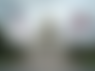 The Betrayal of the American Dream How Politicians Trade Citizens for Power and Wealth