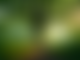 How Hormone Optimization is Redefining Women's Health for a Vibrant Future Throughout Perimenopause to Menopause