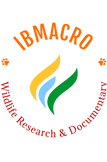 logo-transparent-png.png