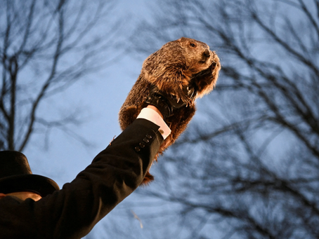 Punxsutawney Phil Deserves To Get Fired