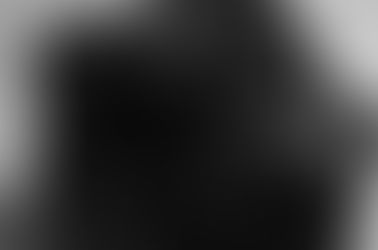 Contax N Digital Back