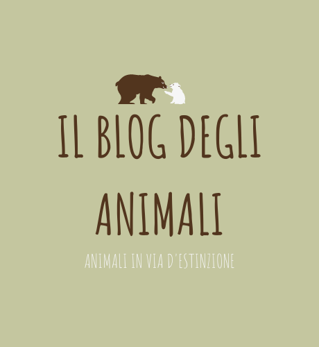 Il blog degli animali.png