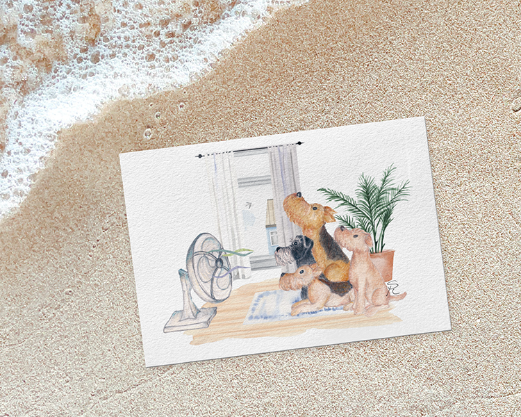 Airedale, welsh, lakeland terrier and schnauzer in front of a fan greeting card