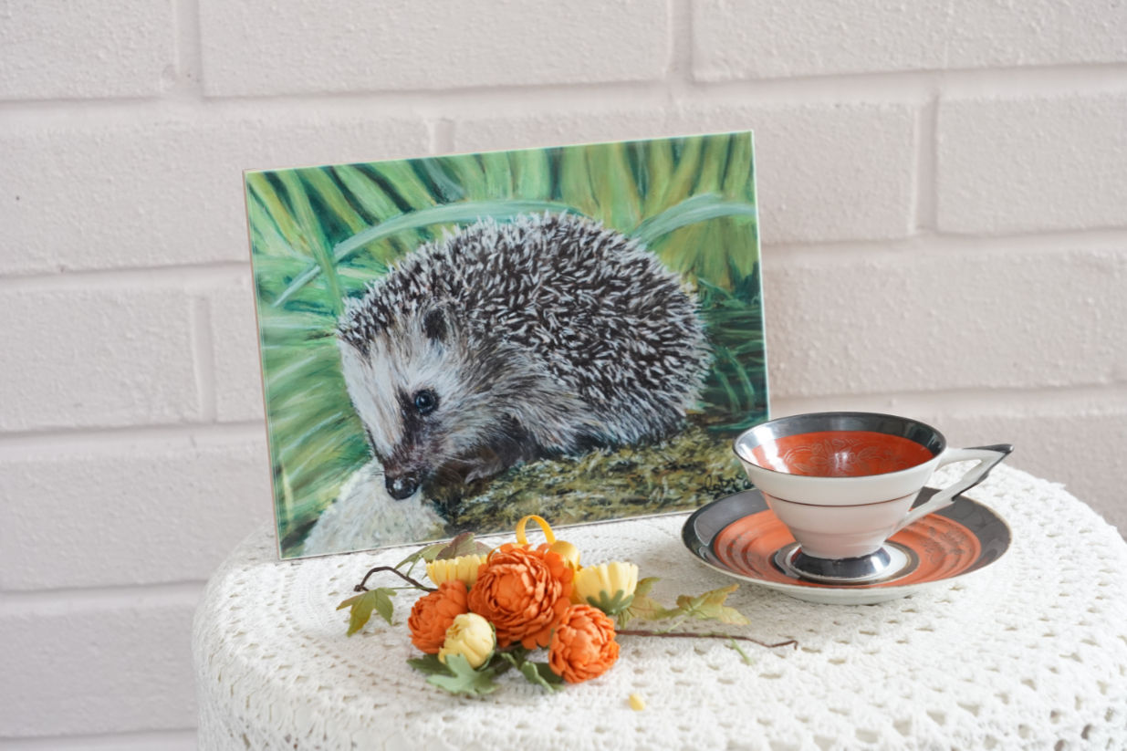 Hedgehog ceramic tile picture