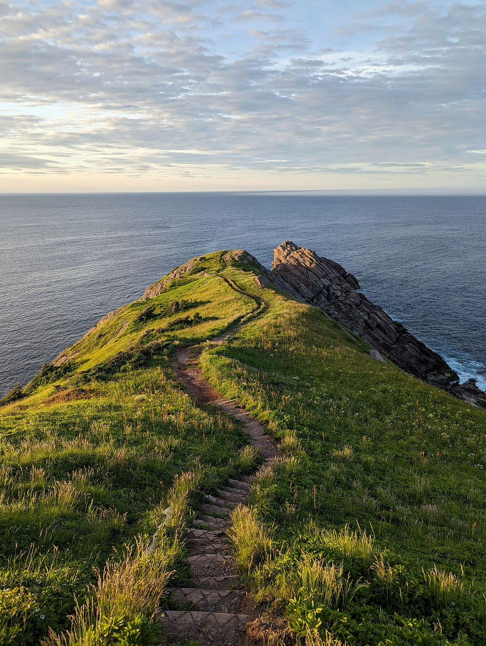 A Still Heart in an Unstill World