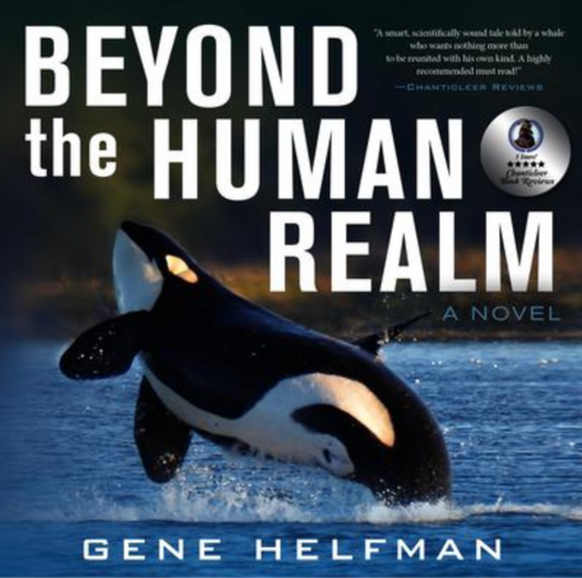 Beyond the Human Realm Cover.png