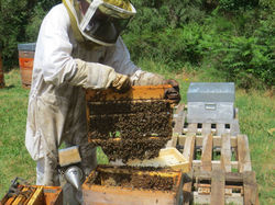 11402541_1448911522095084_4092113731561684951_o