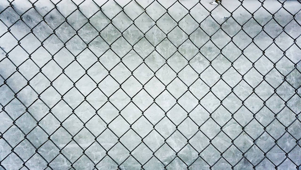 fence