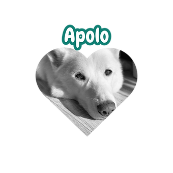 pag web jardin (11).png