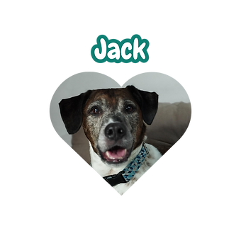 pag web jardin (79).png