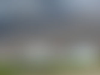 My Grandparents' Legacy