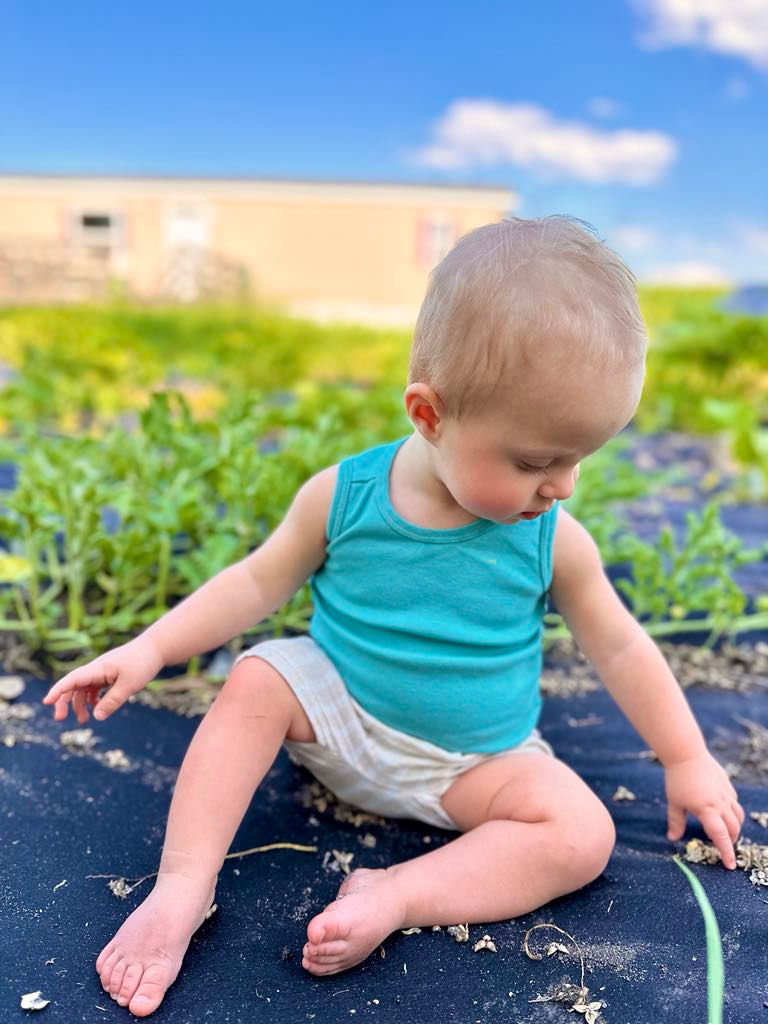 a2be455a-40de-45f4-9b60-2f4e3c1bd8ec