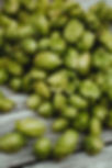 markus-spiske-qn5iDwvOZgo-unsplash.jpeg