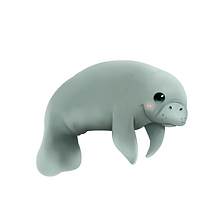 manatee-with circle (1).png