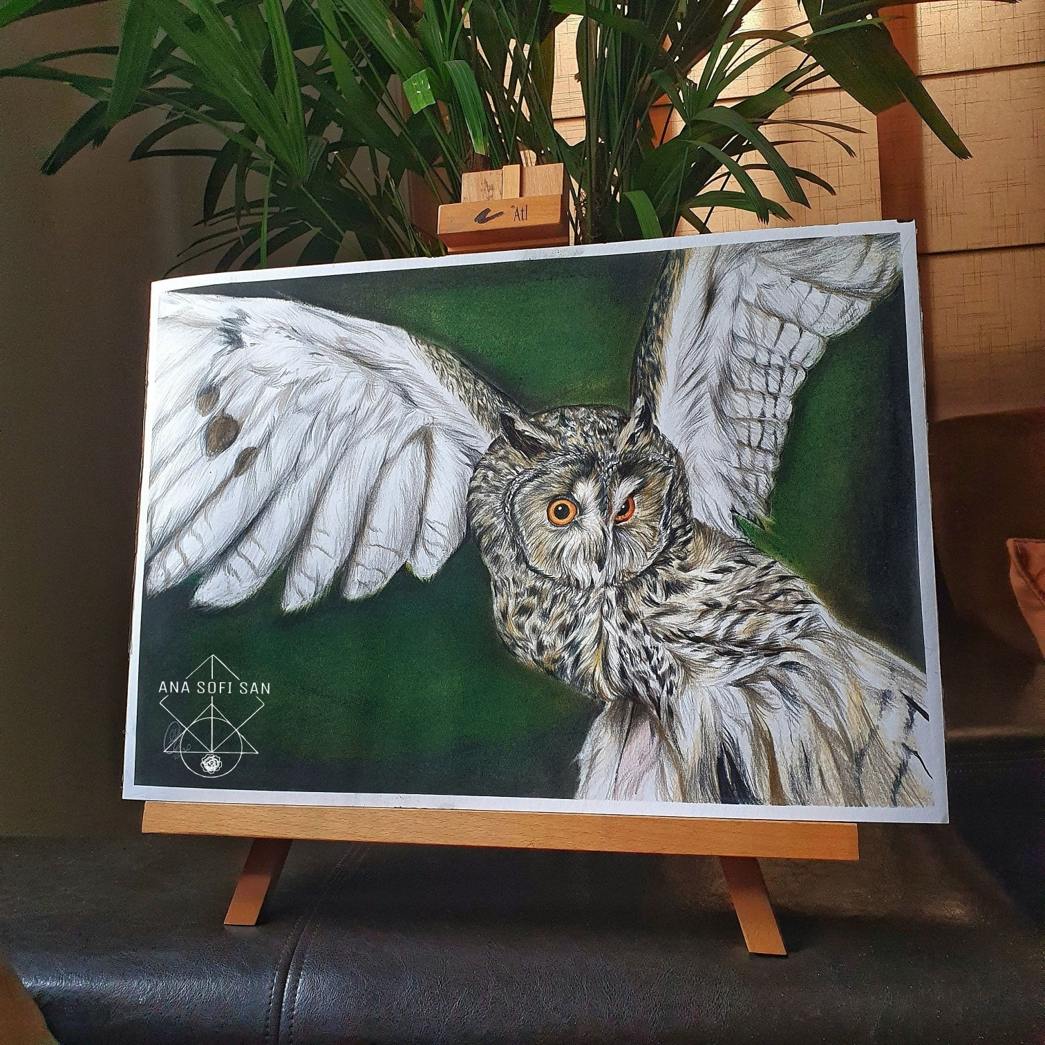 Búho (no contiene marco)