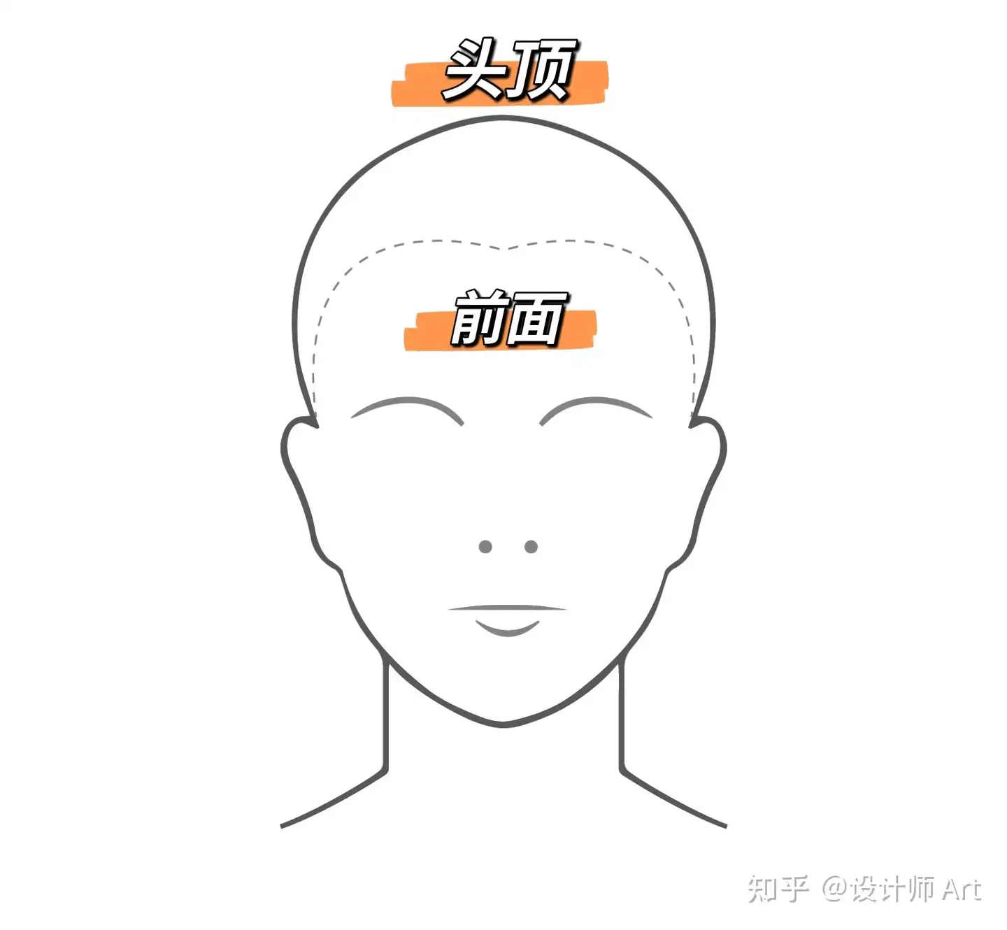 Hình ảnh cho thấy đỉnh đầu và khu vực phía trước