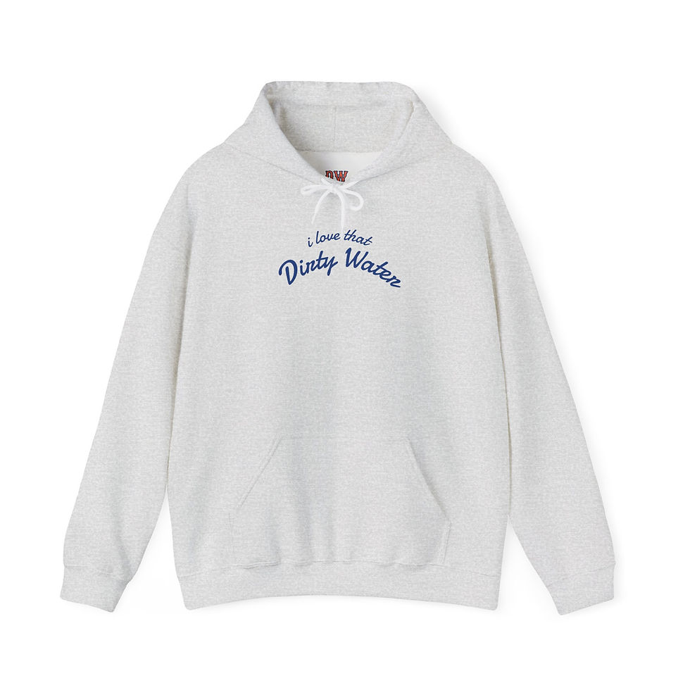 Thumbnail: I Love That Dirty Water Hoodie